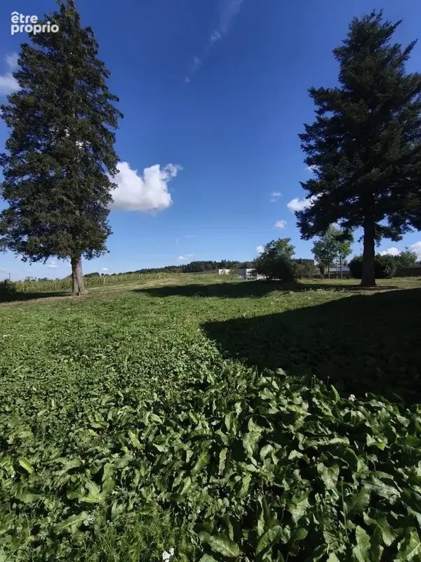 domaine à Raucoules - photo 4