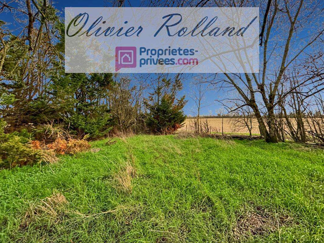 Maison à MONTREUIL-BELLAY