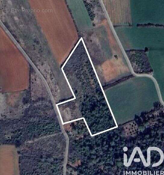 Photo 4 - Terrain à SAINT-JULIEN