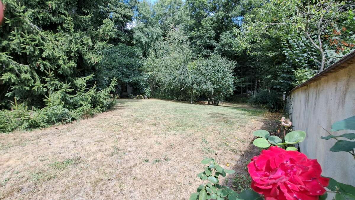 Maison à LE MESNIL-SAINT-DENIS