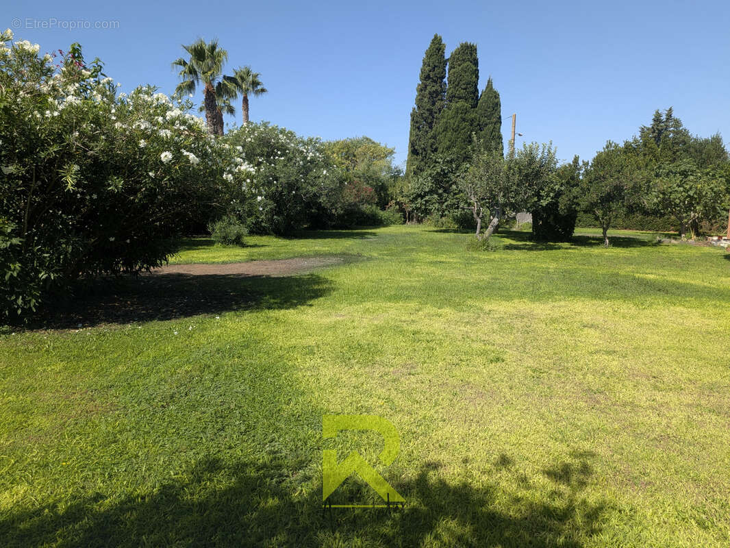 Rare sur le secteur   agde la ville magnifique terrain à bâtir de 400m2 hors lotissement - photo 4