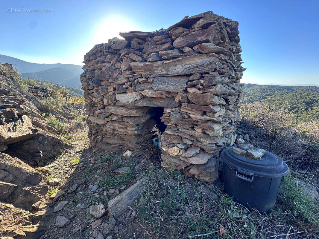 Terrain à COLLIOURE