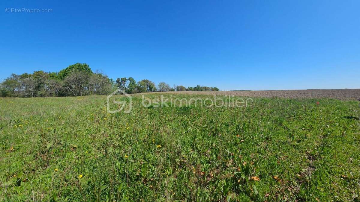 Terrain constructible a saisir - photo 2