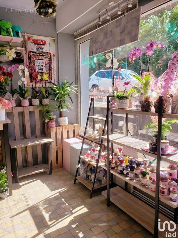 Photo 8 - Commerce à REHON