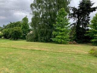 Terrain à MONTUSSAN