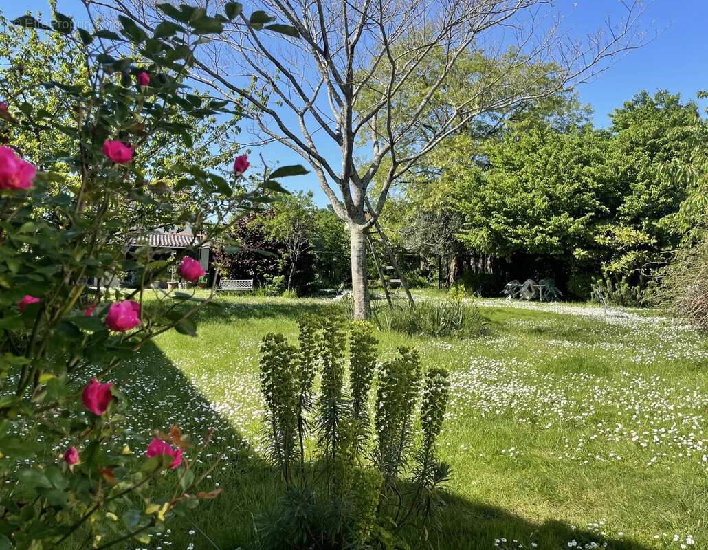 Maison à SAINT-SEBASTIEN-SUR-LOIRE