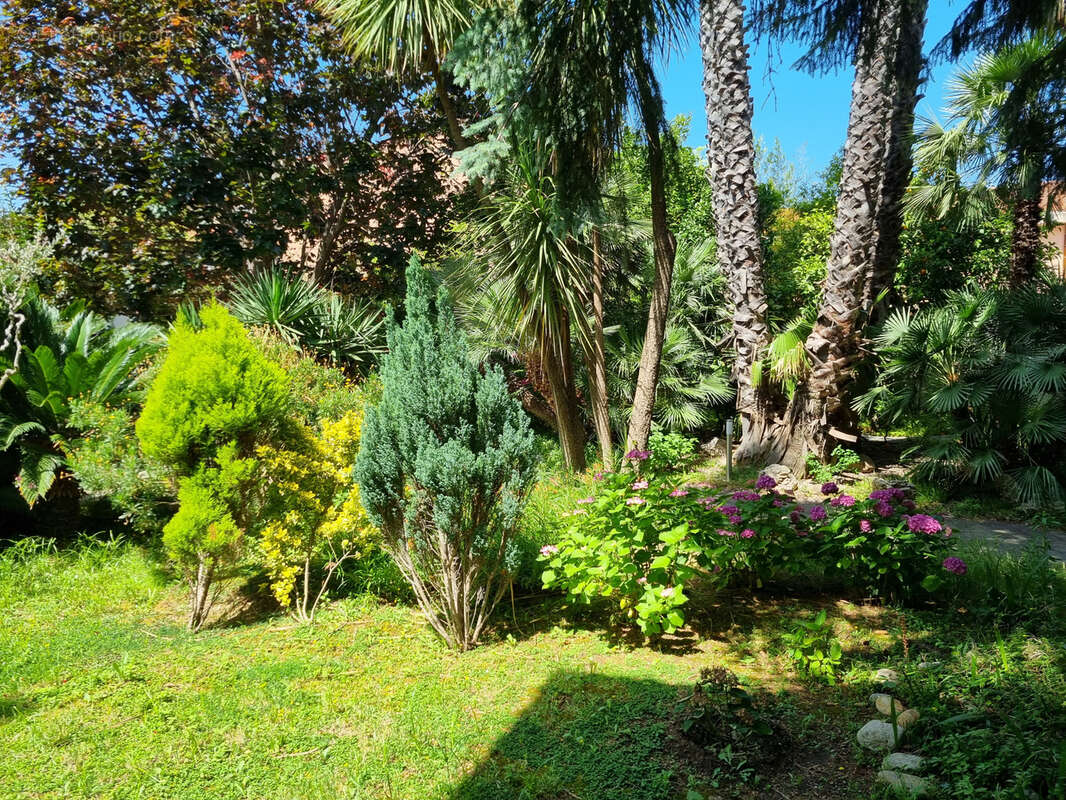 Appartement à COLLIOURE