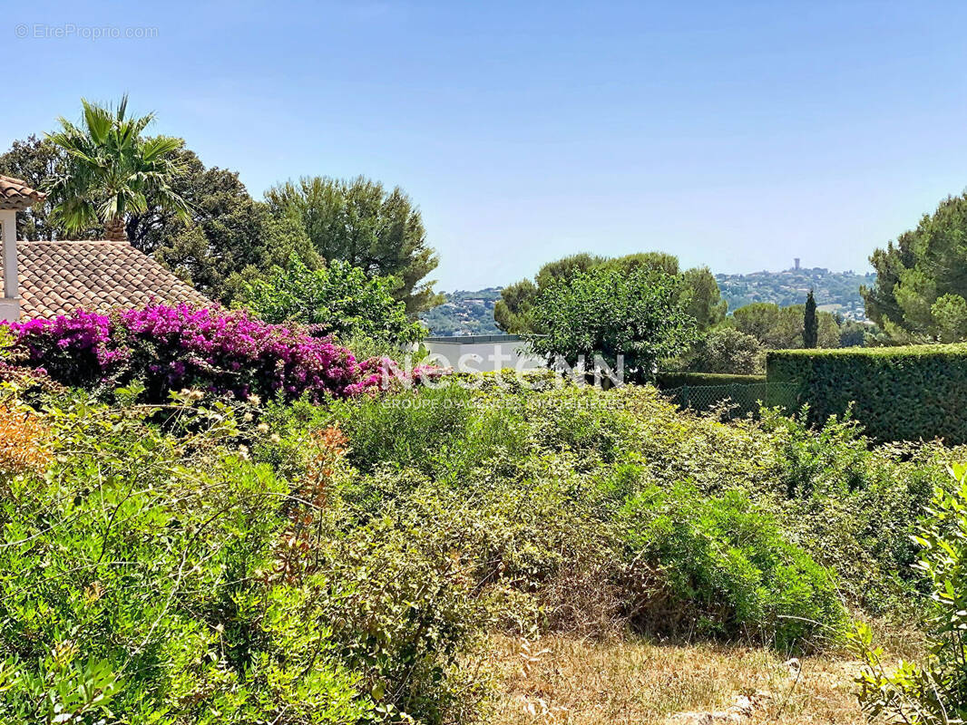 Terrain à VALLAURIS