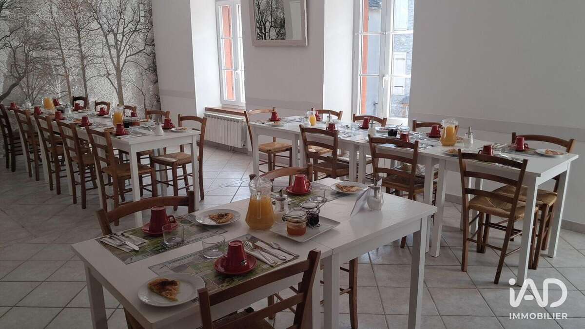 Photo 8 - Commerce à SAINT-LARY