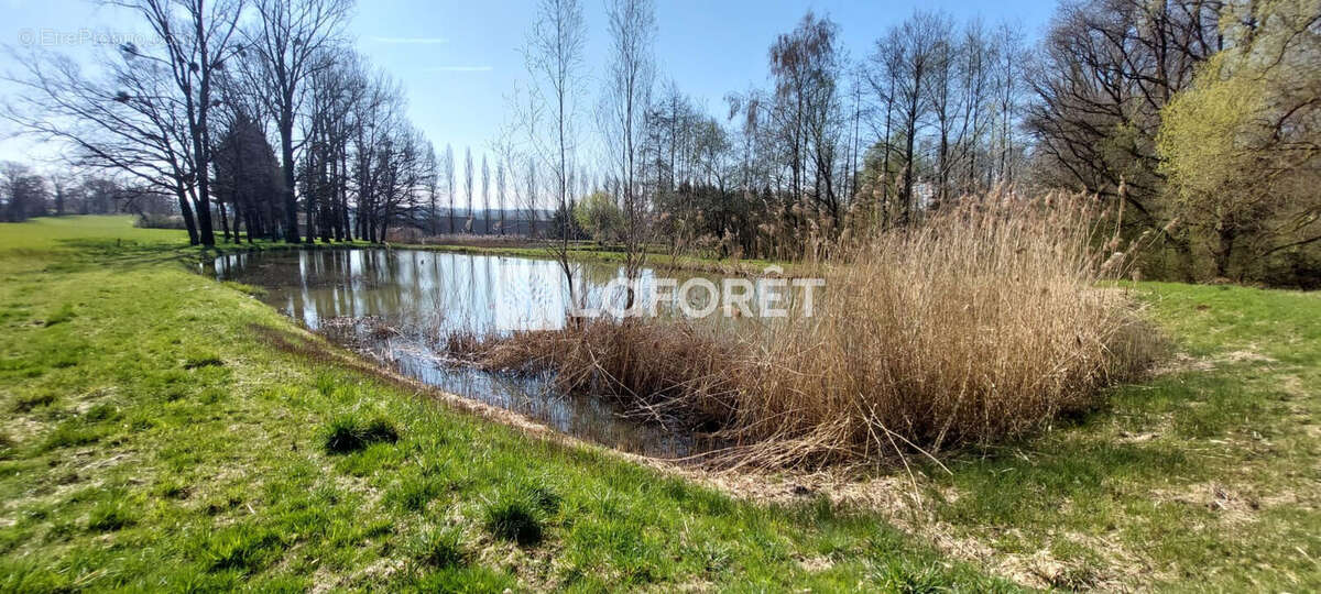 Terrain à GRANDVILLARS