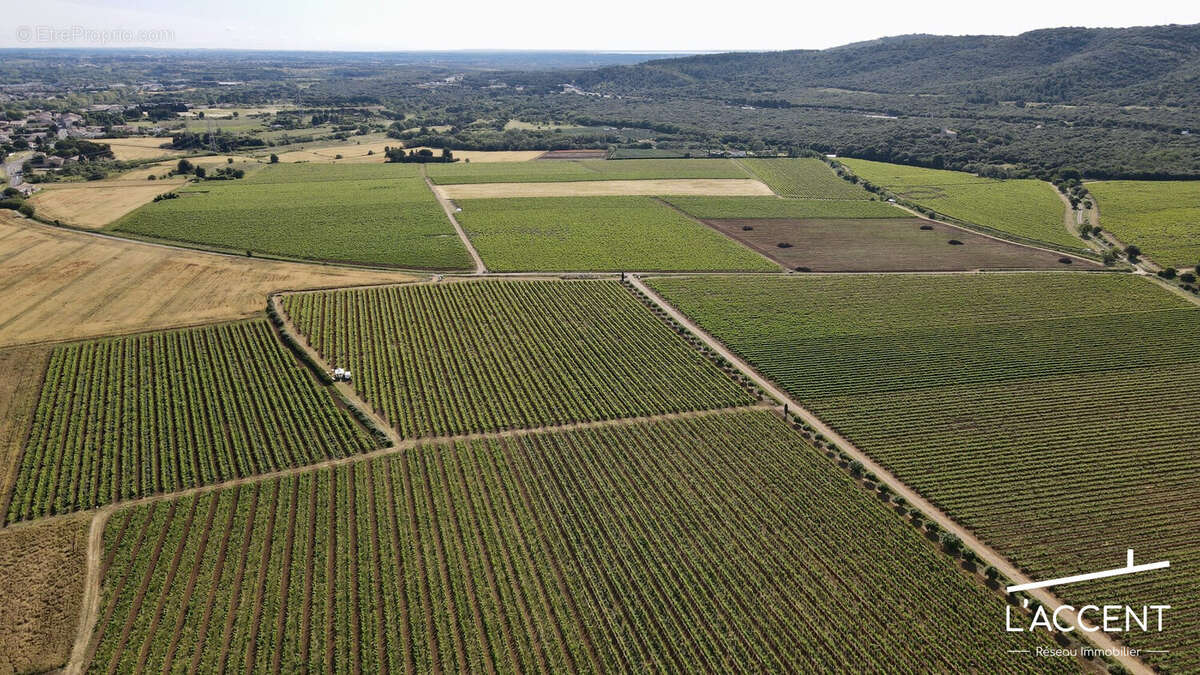 Autre à MONTPELLIER