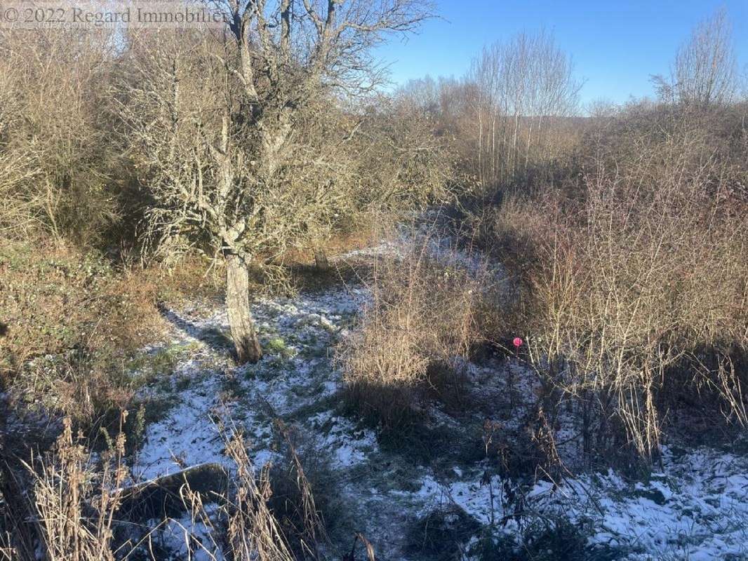 Terrain à GROSBLIEDERSTROFF