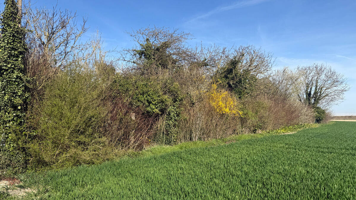 Terrain à ROMILLY-SUR-SEINE