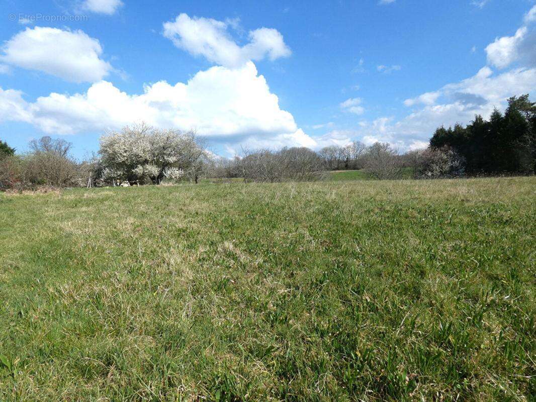 Terrain à HAUTEFORT