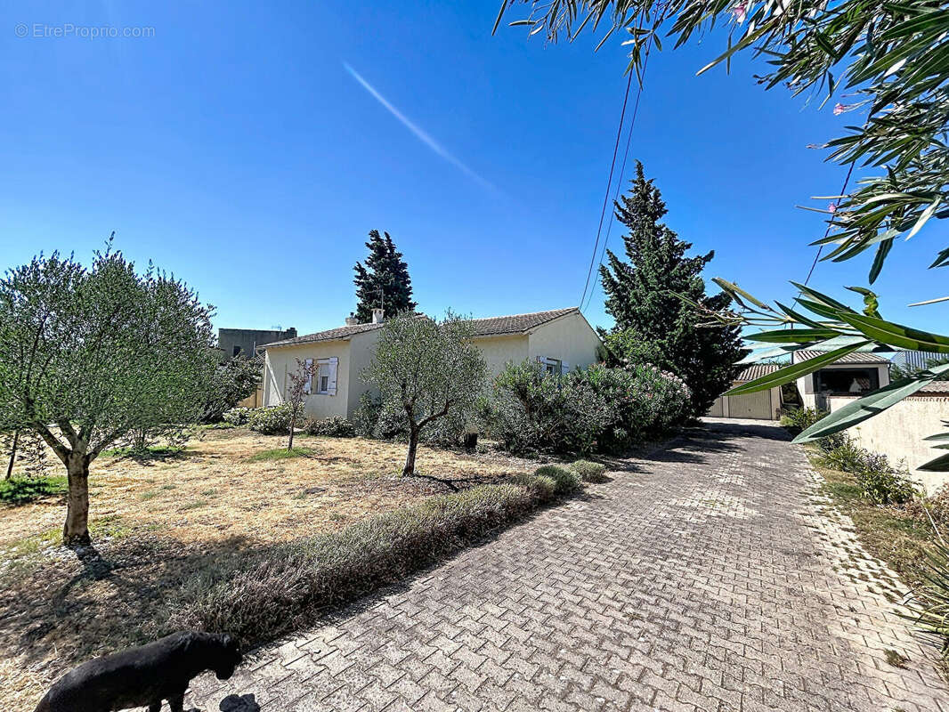 PIOLENC - Maison plain pied, double garage, jardin 1200m² avec piscine - photo 4