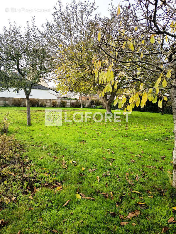 Terrain à TREVENEUC