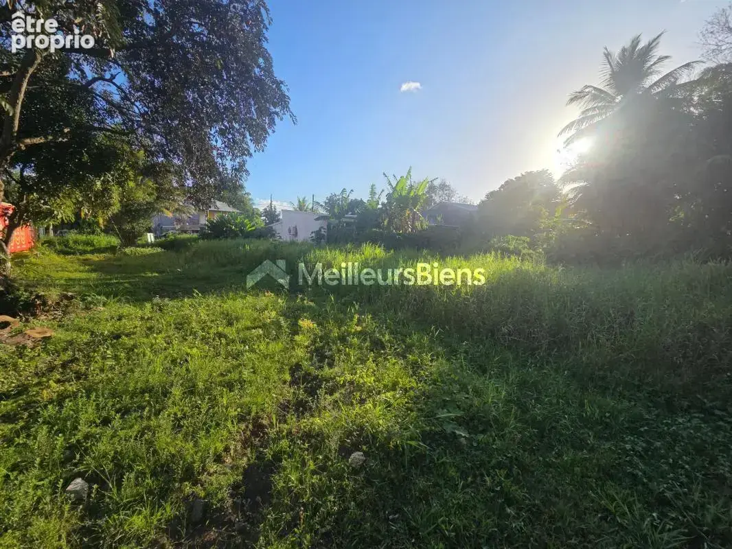 Terrain à MORNE-A-L'EAU
