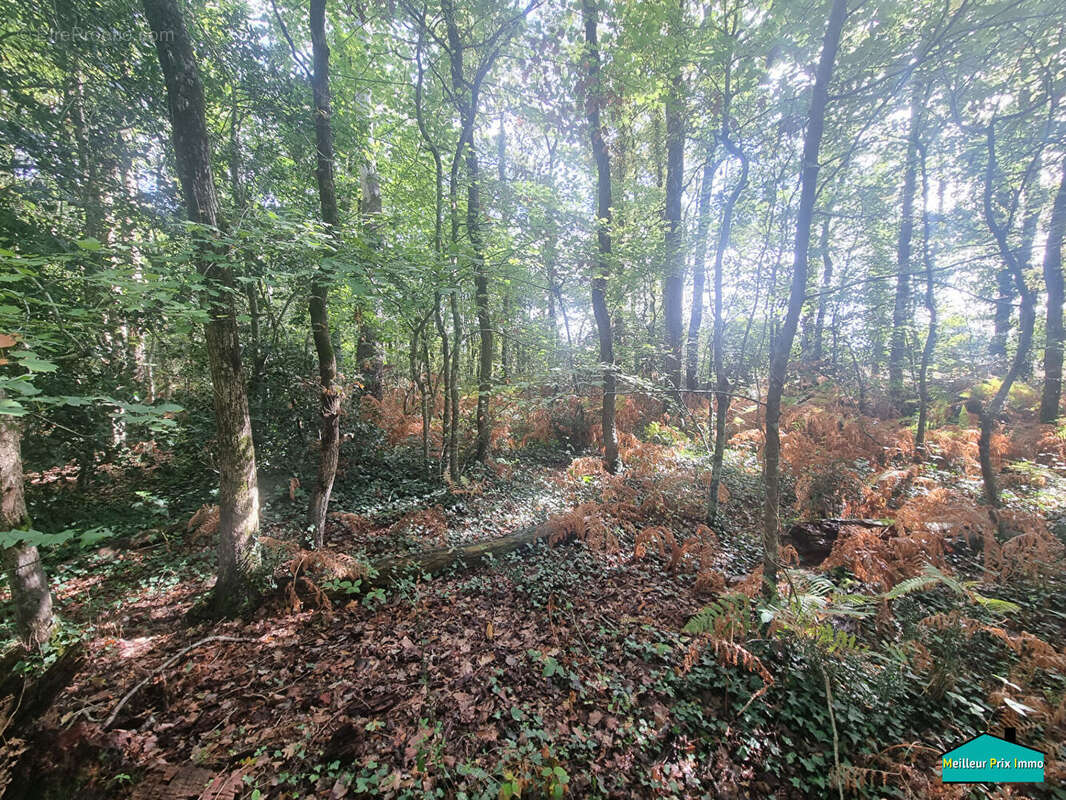 Terrain à LA GARNACHE