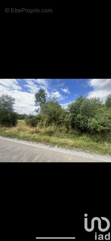 Photo 2 - Terrain à DUNET