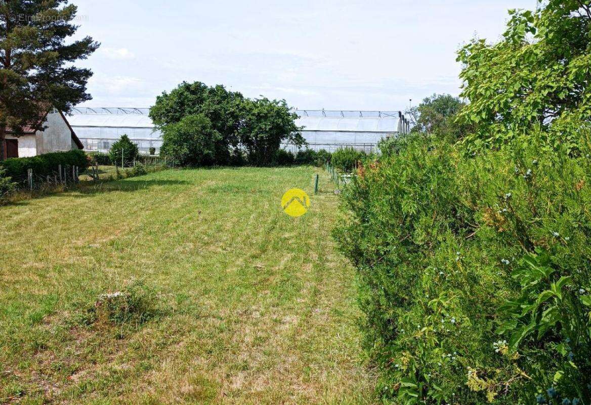 Maison à COSNE-D'ALLIER