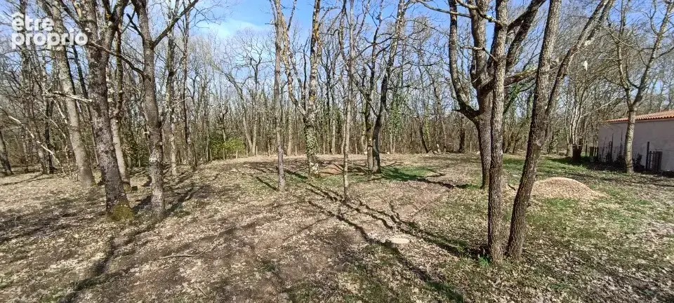 Terrain à MONTAIGUT-SUR-SAVE