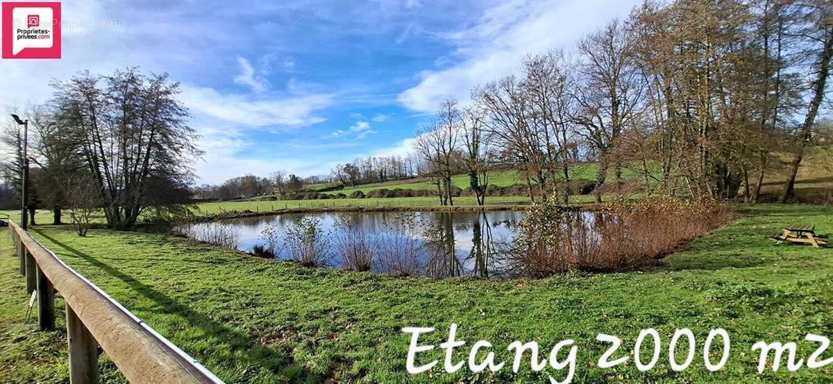 Propriété équestre  dans l 'Ain sur 11 hectares - photo 7