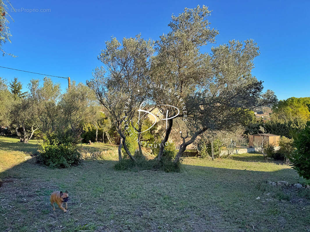 Terrain à LORGUES