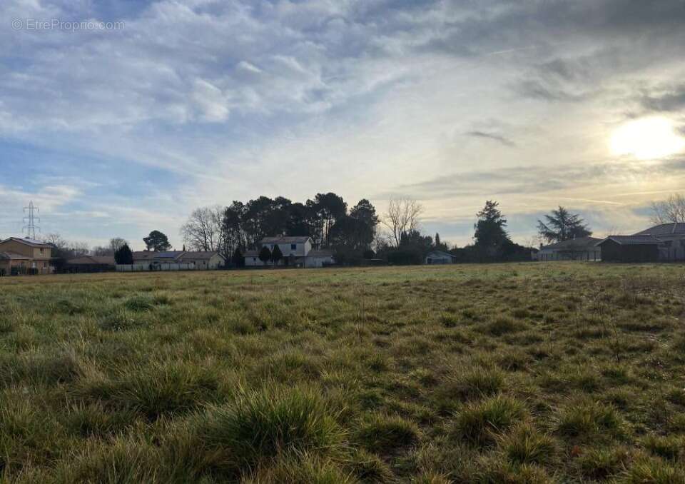 Terrain à LEOGNAN