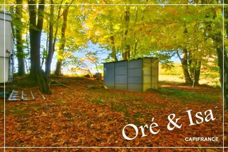 Terrain à SAINT-DESIRE