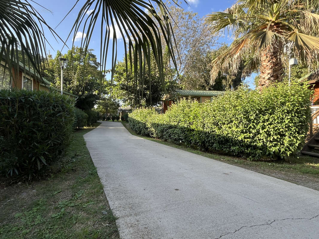 Maison à SORBO-OCAGNANO