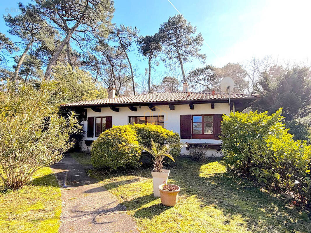 Maison à LE BOUSCAT