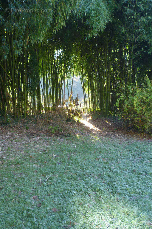 P1040499 - Maison à SAINT-MARTORY