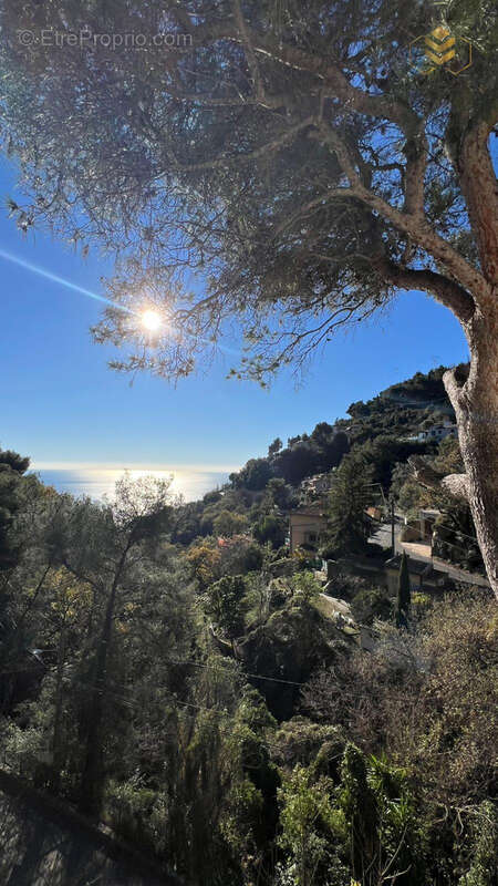 Une nouvelle vie aux portes de monaco - photo 16