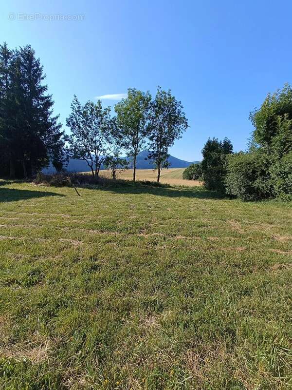 Terrain à VILLARD-DE-LANS