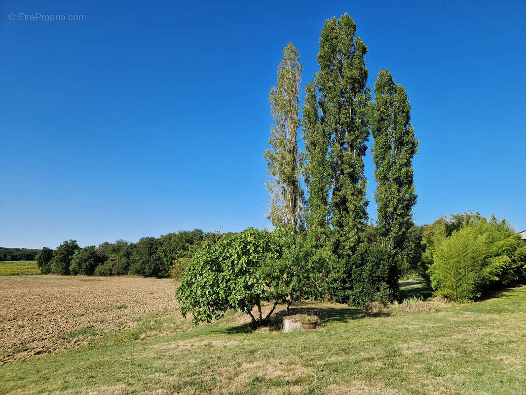 Proche VILLERÉAL, EN PLEINE CAMPAGNE, ancienne ferme à rénover...potentiel intéressant ! - photo 23