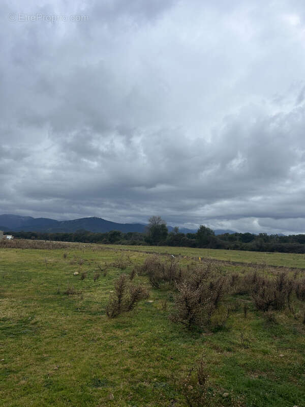 Terrain à GHISONACCIA