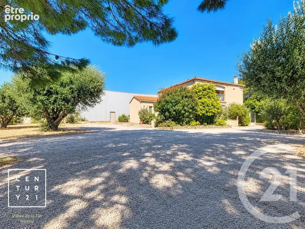 Maison 6 pièces 232 m² à vendre à Millas (66170) - photo 5