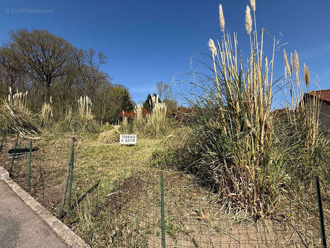 Terrain à LAPUGNOY