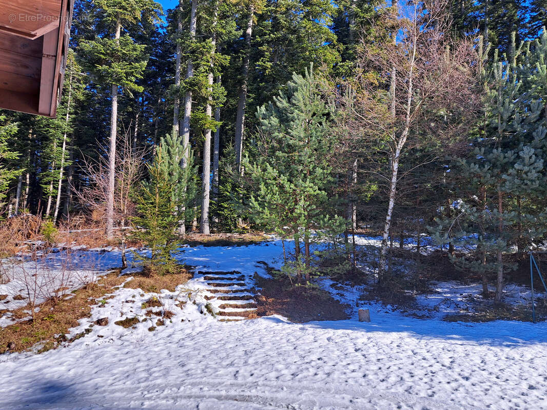 Magnifique Chalet en madrier sur 7259 m2 de terrain - photo 21