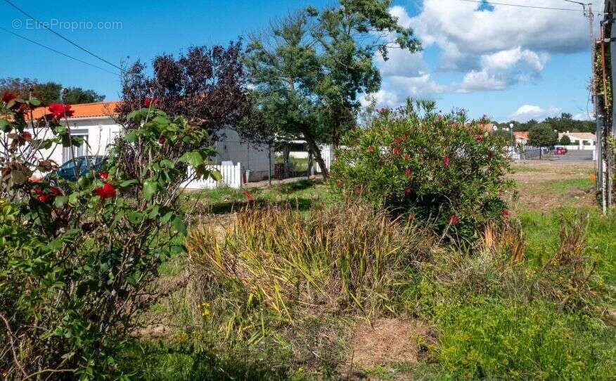 Terrain à BRETIGNOLLES-SUR-MER