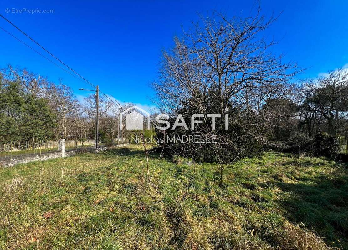 Photo 3 - Maison à BLANQUEFORT