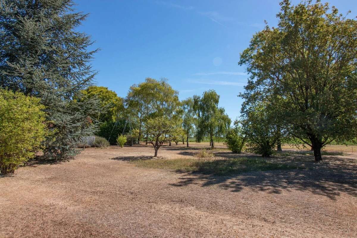 Spacieuse maison à la campagne avec piscine près de Cognac - photo 19