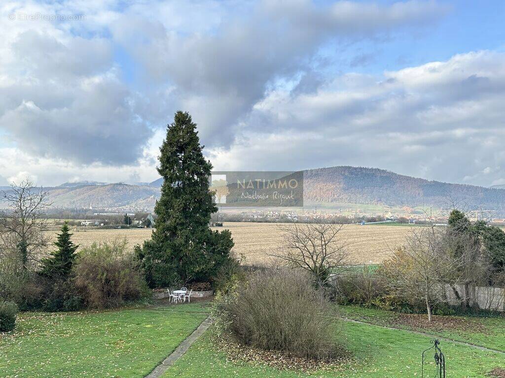 Appartement à SELESTAT