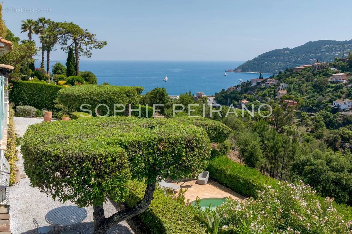 Maison à MANDELIEU-LA-NAPOULE