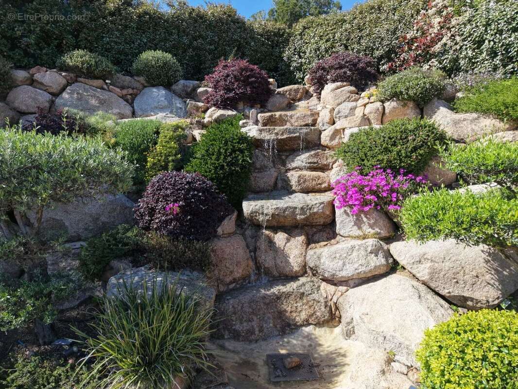 Maison à PORTO-VECCHIO