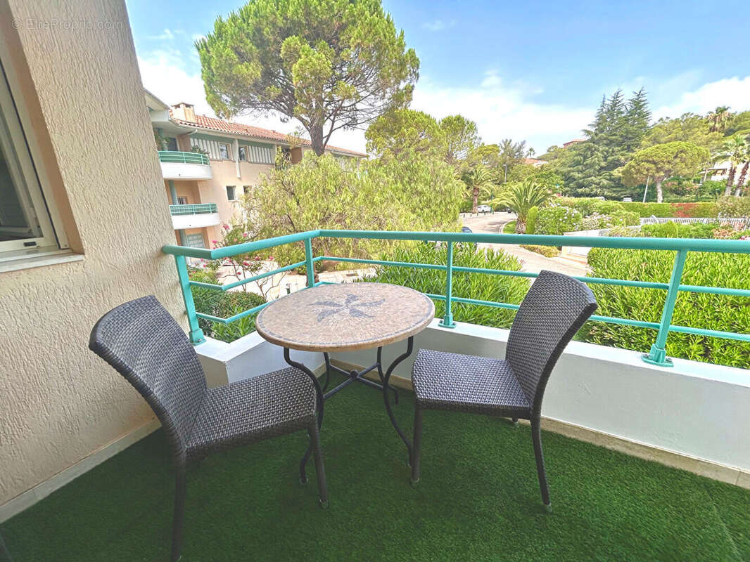 Appartement studio avec espace nuit   30 m2 - photo 2