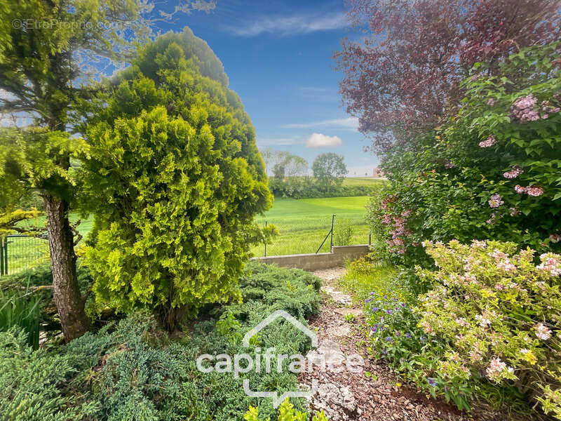 Maison d'Architecte 175m2 1464m2 de terrain clos et arboré - photo 3