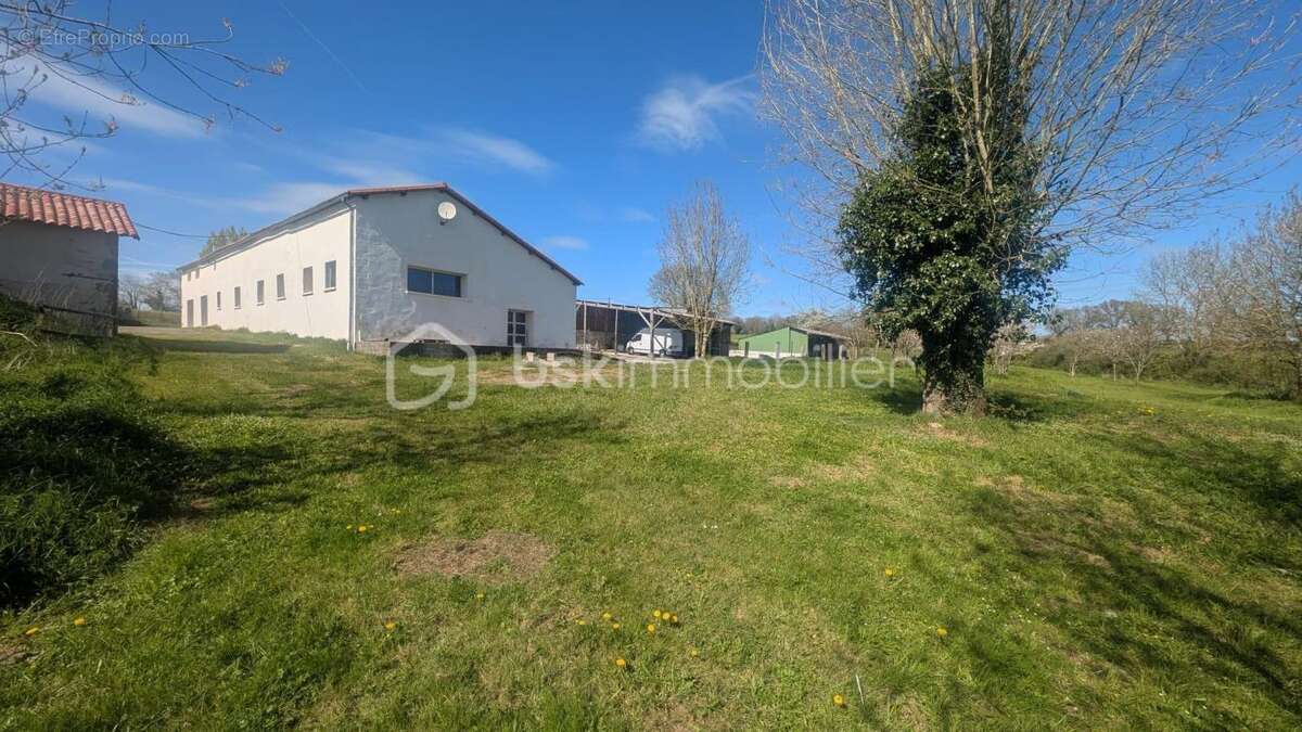 Longère en pierres  de PLAIN-PIED, avec dépendances – 3 hectares – Idéale grande famille, exploitation agricole, artisan, projet - photo 29