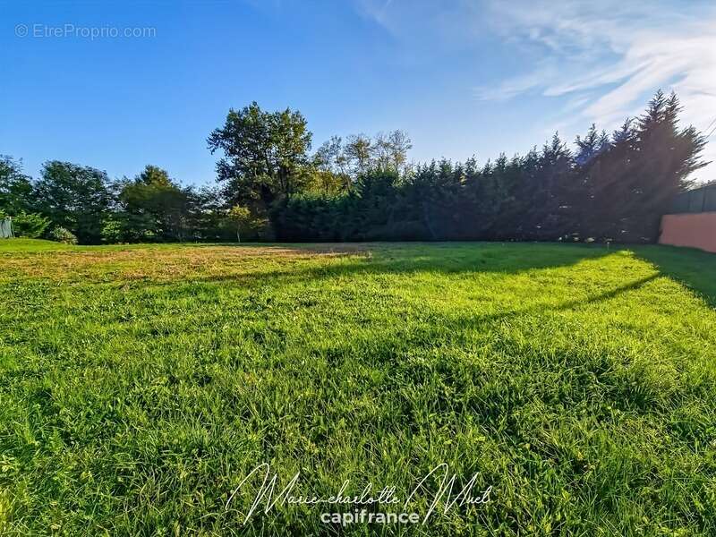 Maison à PONT-DE-VAUX