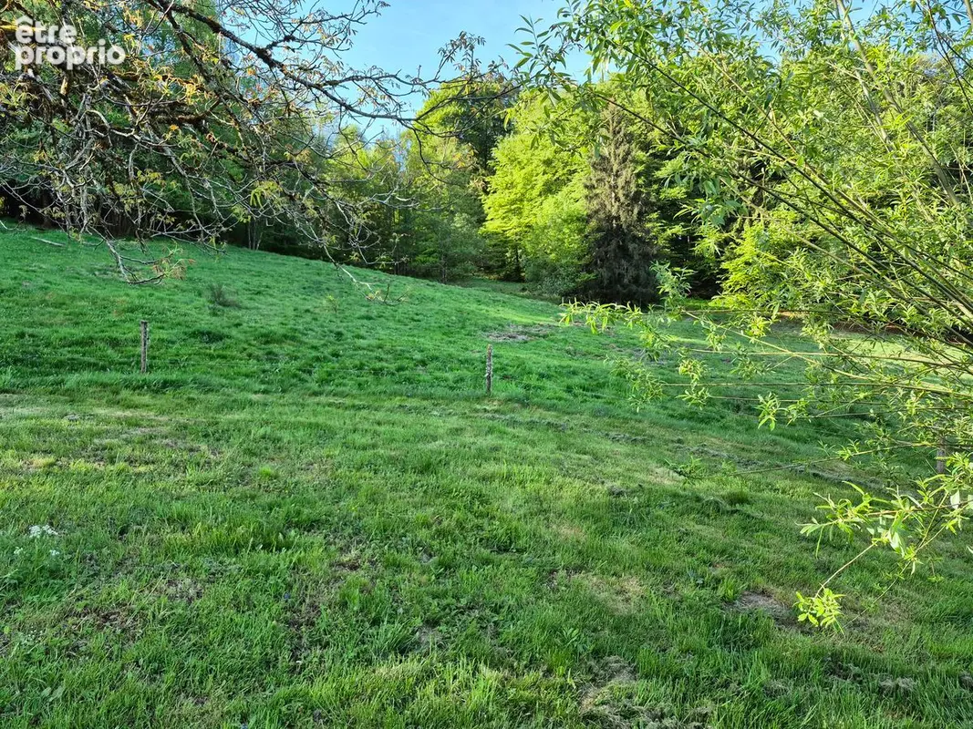 Ferme avec vue dominante et grand terrain - photo 8